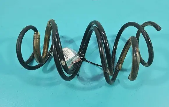 Front coil spring