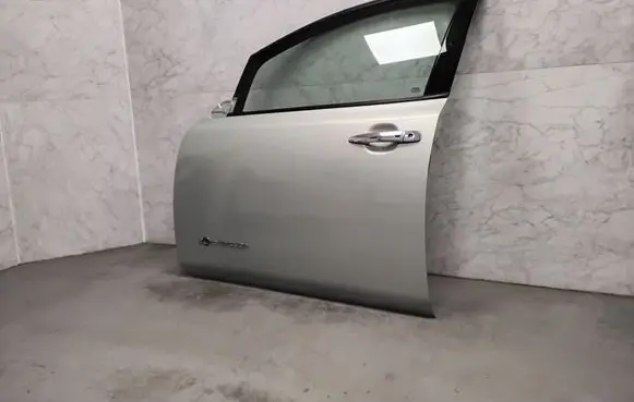 Nissan Leaf II (ZE1) Front door 