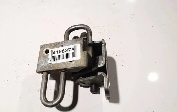 Rear door lower hinge