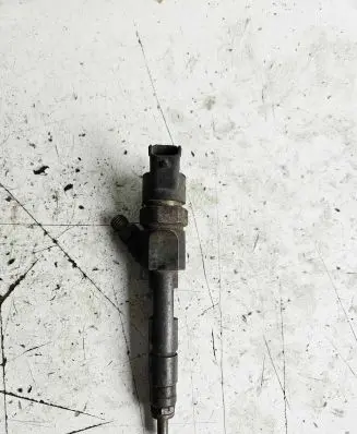 Renault Kangoo I Fuel injector 0445110144