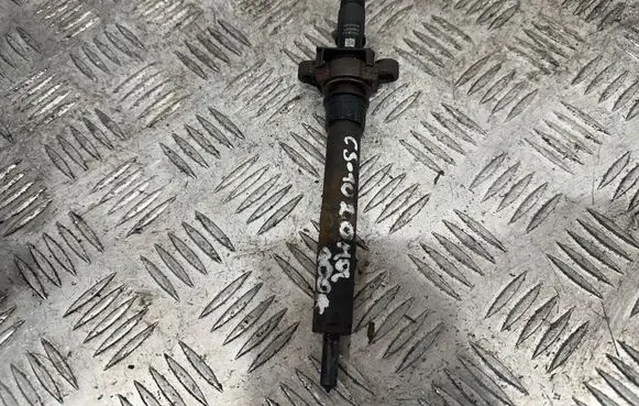 Citroen C5 Fuel injector 9688438580