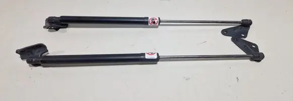 Ford B-MAX Tailgate strut AV11R406A10AB