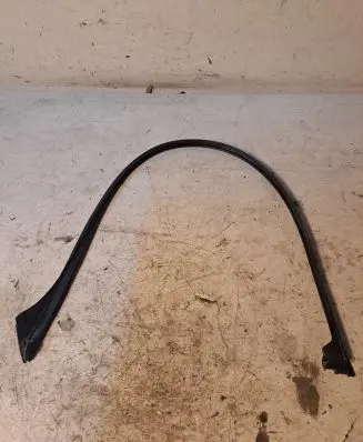 BMW X6 M Front door glass trim molding 7310319