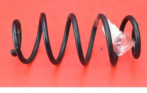 Rear coil spring