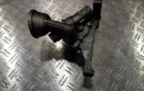Mercedes-Benz C W202 Oil pump r1111810220