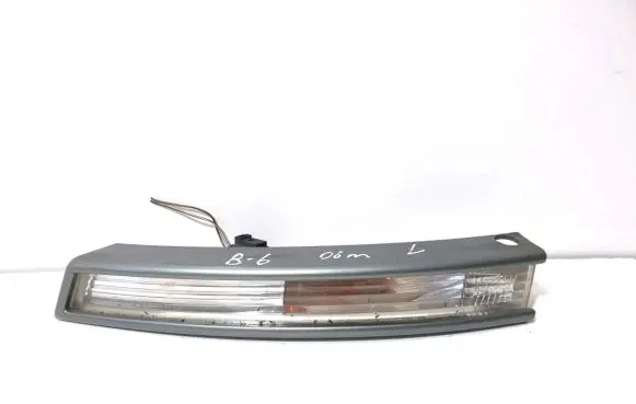 Volkswagen PASSAT B6 Front indicator light 3C0953041H
