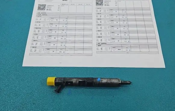 Renault Kangoo I Fuel injector EJBR02101Z IMPRK1535830