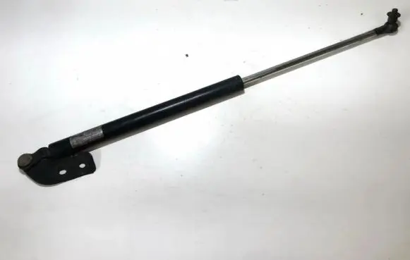 Tailgate/trunk strut/damper