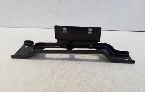 Other rear door trim element