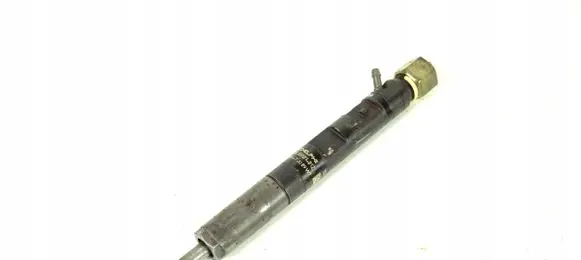 Renault Kangoo I Fuel injector EJBR01401Z