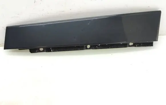 Volvo S60 Rear door glass trim molding 30784002