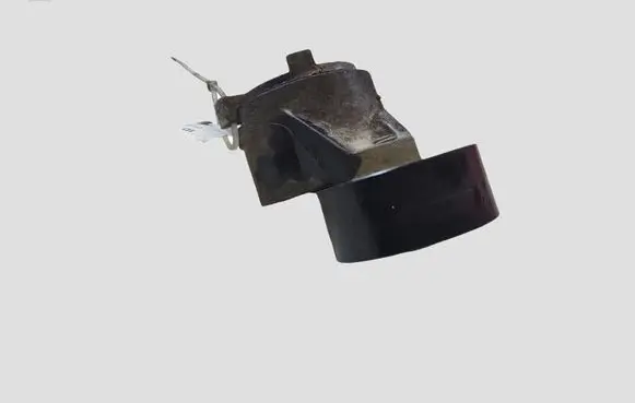 Citroen C5 Generator/alternator belt tensioner