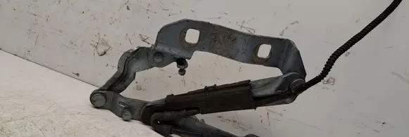 Volkswagen New Beetle Tailgate/trunk/boot hinge