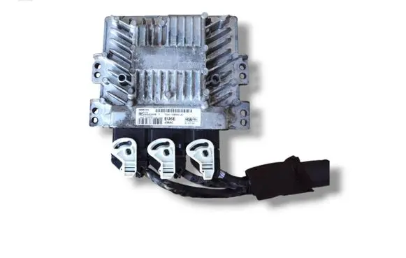 Engine control unit/module ECU