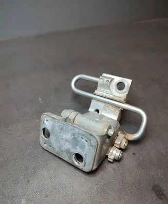Rear door lower hinge