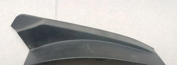 Rear/tail light trim molding