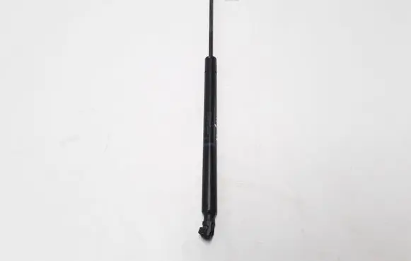 Renault Megane II Tailgate strut 8200119498
