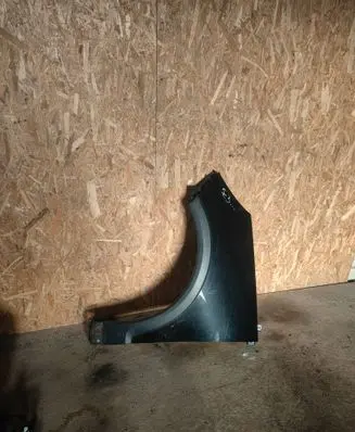 Renault Scenic III - Grand scenic III Fender 
