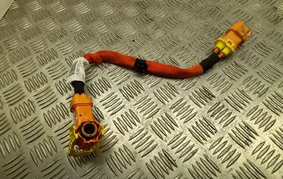 Other wiring loom