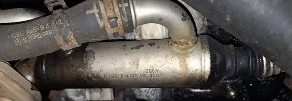 Skoda Roomster (5J) EGR valve cooler 038131513k