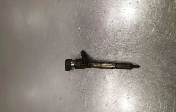 Renault Laguna III Fuel injector 8200380253 H8200294788