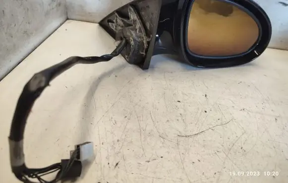 Mercedes-Benz CLS C219 Front door electric wing mirror 454216