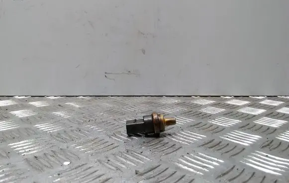 Skoda Roomster (5J) Coolant temperature sensor 06A919501A