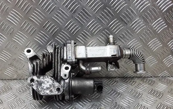 Renault Scenic RX EGR valve cooler 50006603