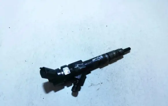 Renault Megane II Fuel injector 8200100272 0445110110b