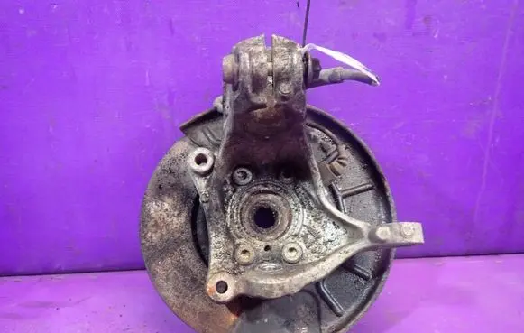 Volkswagen PASSAT B6 Front wheel hub spindle knuckle