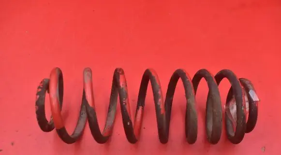 Seat Leon (1M) Rear coil spring