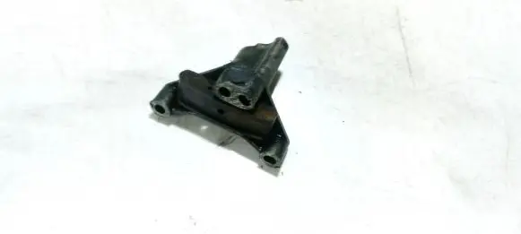 Ford Kuga I Slide rail for timing chain 268d004