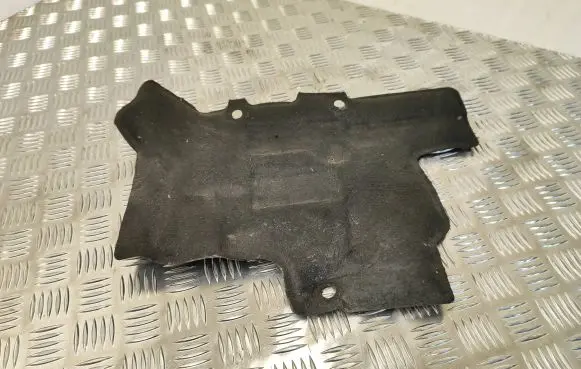 Heat shield in engine bay