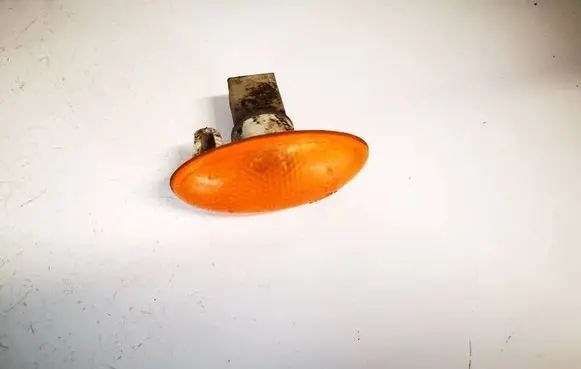 Front fender indicator light