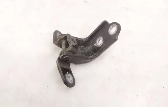 KIA Optima Rear door lower hinge