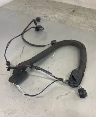 Rear door wiring loom