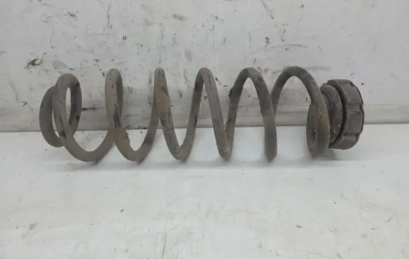 Rear coil spring