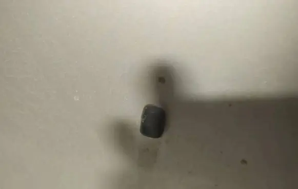 Subaru Legacy Windshield washer spray nozzle 