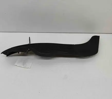 Rear/tail light trim molding