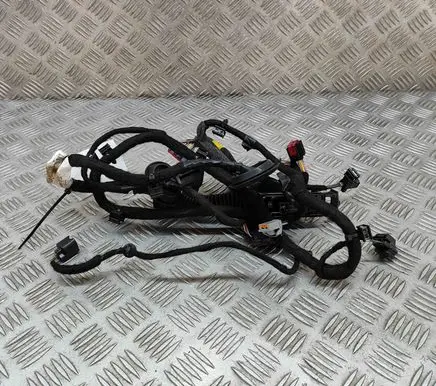 Front door wiring loom