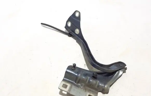 Renault Megane IV Engine bonnet/hood hinges 654002203R