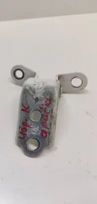 Rear door lower hinge