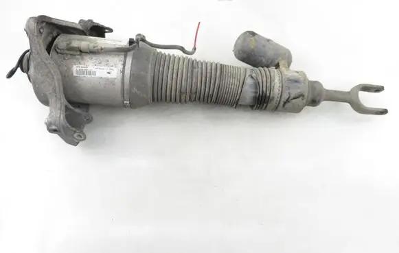 Volkswagen Phaeton Front shock absorber/damper 3D0616039T
