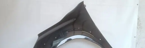Toyota Hilux (AN120, AN130) Fender