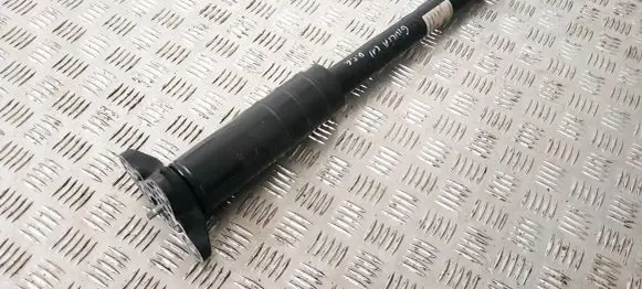 Alfa Romeo Giulia Rear shock absorber/damper 50559663 005055966300 00505596650