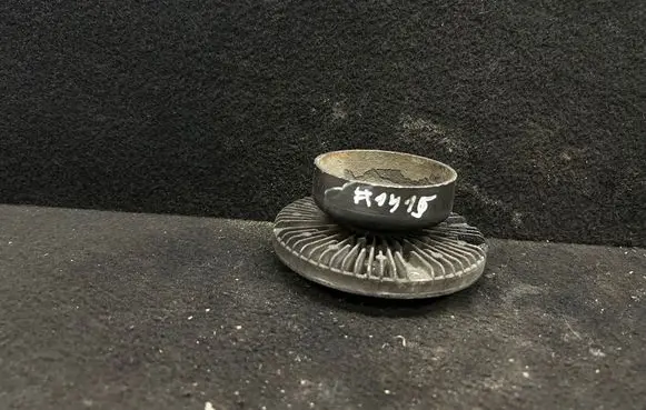 Volkswagen PASSAT B5.5 Viscous fan clutch 06b121347