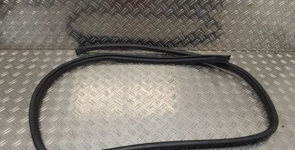 Rear door rubber seal (on body)