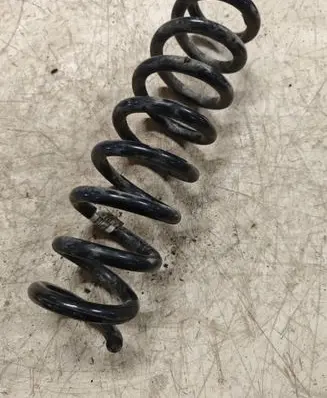 Rear coil spring