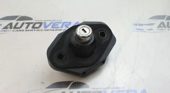 BMW 7 F01 F02 F03 F04 Tailgate exterior lock 7194181