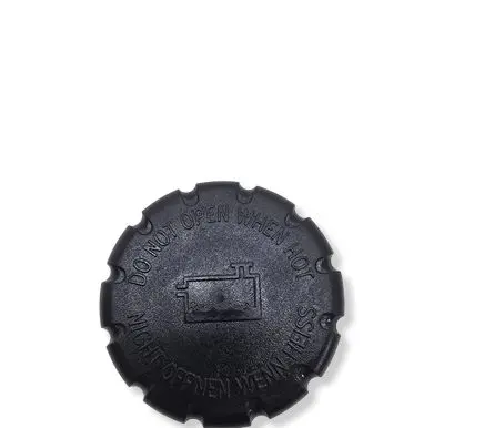 Mercedes-Benz EQS V297 Coolant expansion tank/reservoir cap A2975005100